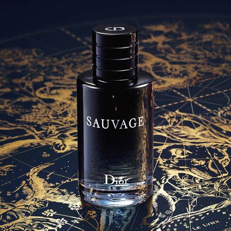 dior kolonia|αρωμα Dior sauvage skroutz.